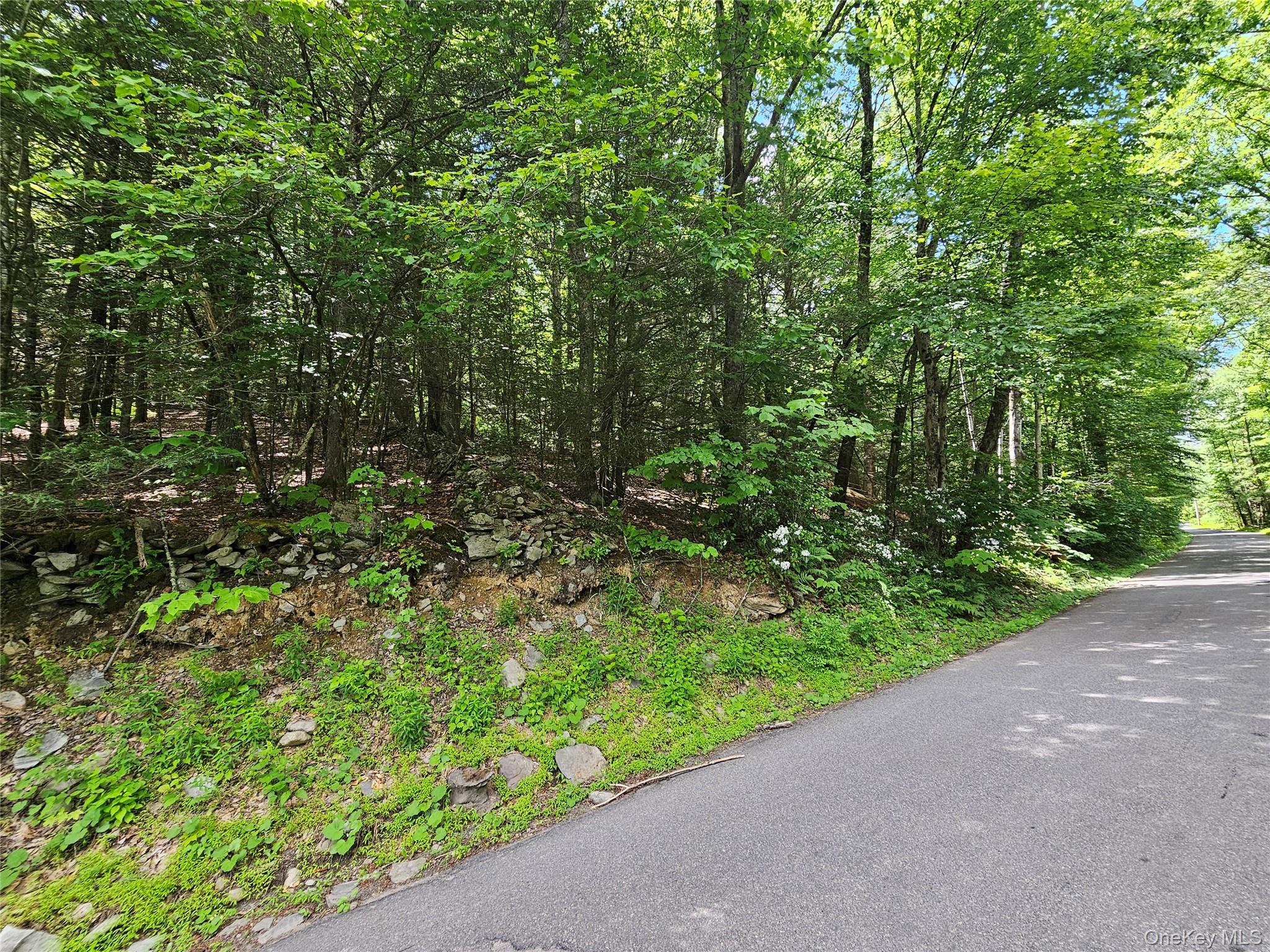 Trails End Road Kerhonkson, NY 12446 - Photo 2 of 6 Gallery Image 2