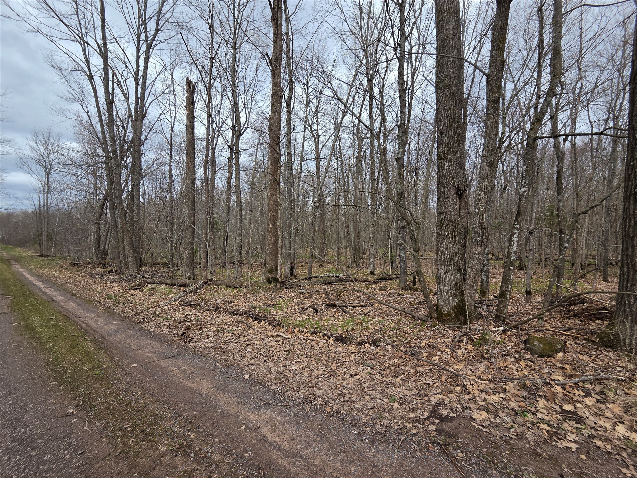 12-xxx North Olson Road Hayward, WI 54843 - Photo 22 of 22