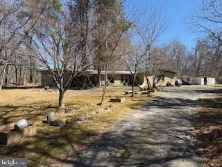 a view of large trees with yard