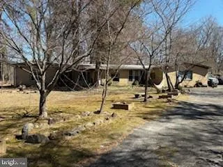 a backyard of a house with a large tree