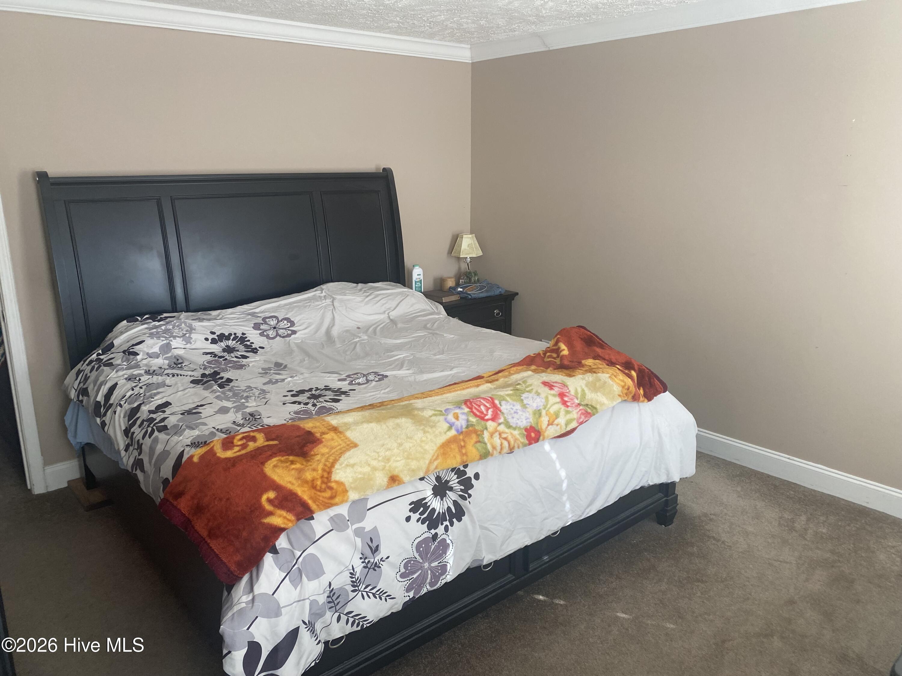 174 Teachey Mac Road Magnolia, NC 28453 - Photo 7 of 9 IMG_1477