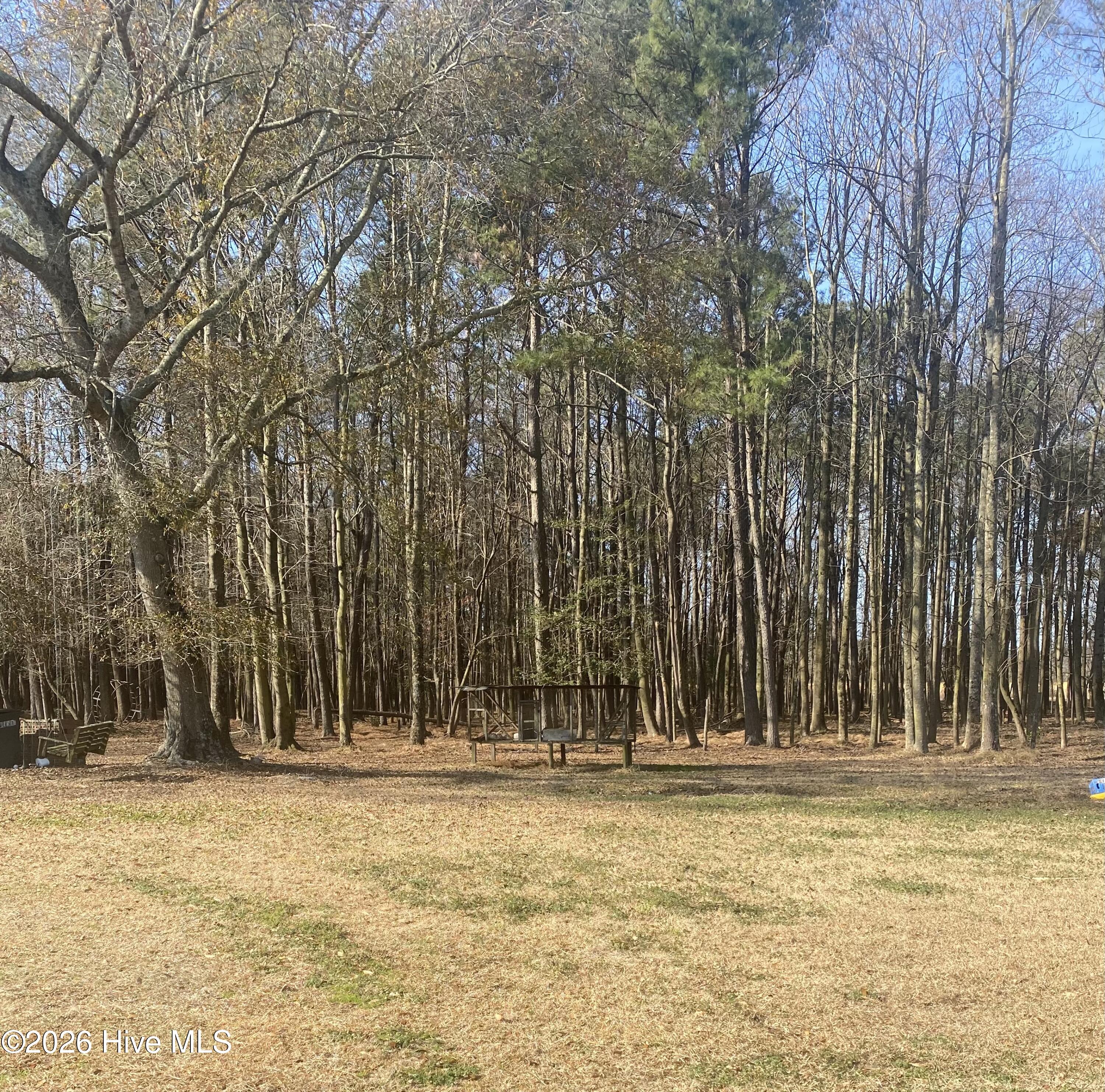 174 Teachey Mac Road Magnolia, NC 28453 - Photo 9 of 9 IMG_1492