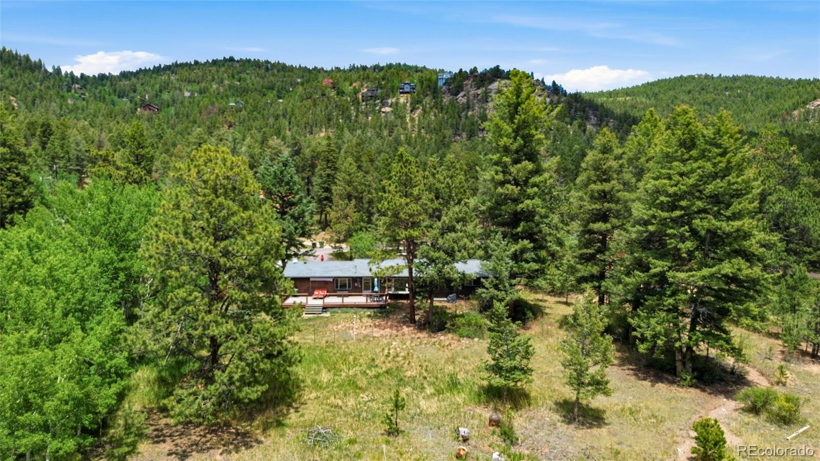 31280 Florence Road Conifer, CO 80433 - Photo 43 of 48 a view of a bunch of trees and bushes