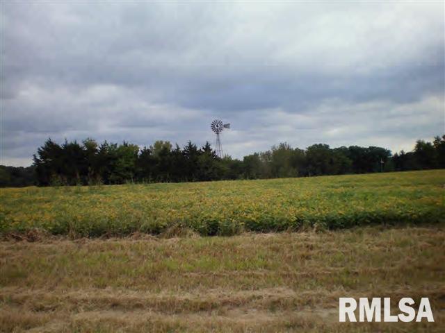 4803 Bitter Road Quincy, IL 62305 - Photo 1 of 1 Gallery Image 1