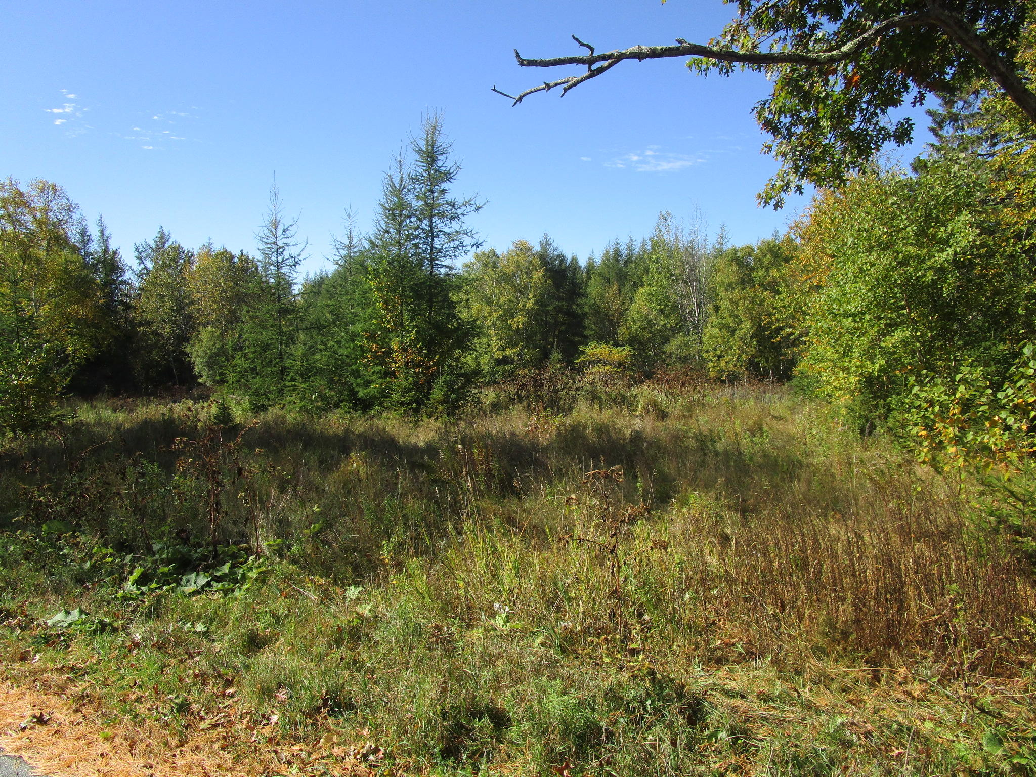 224 Conant Road Fort Fairfield, ME 04742 - Photo 2 of 7 IMG_3157