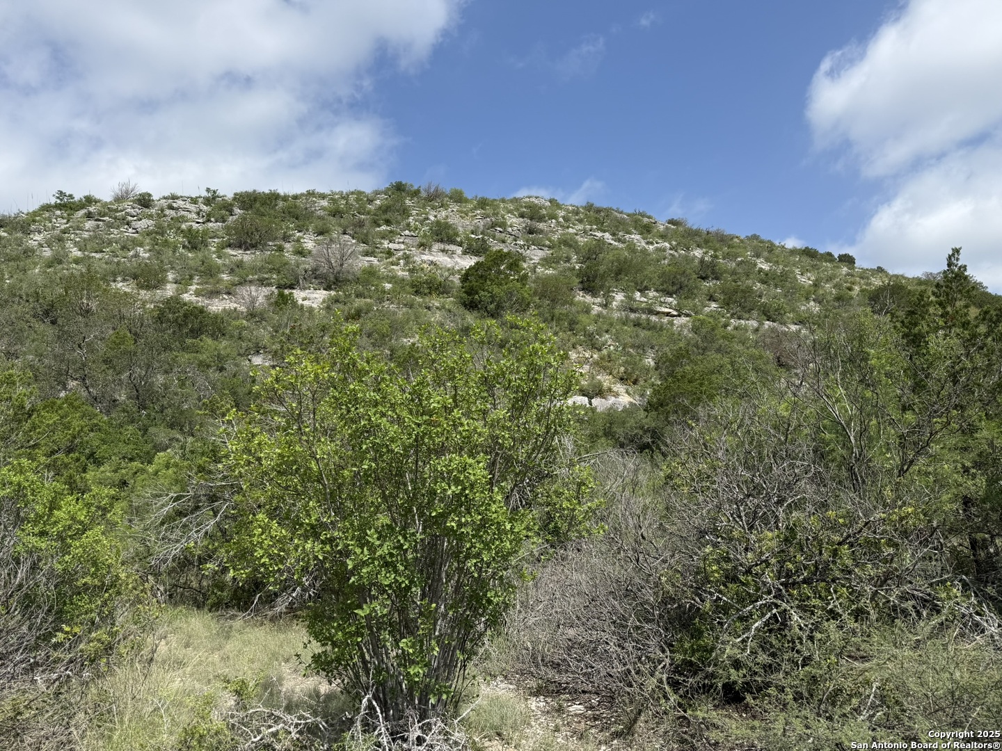 Tbd Murray Ranch Road Sabinal, TX 78881 - Photo 16 of 34