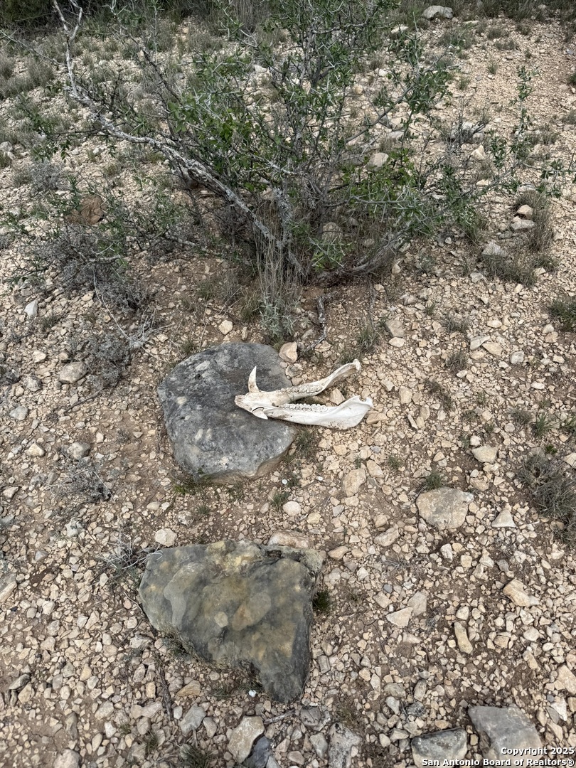 Tbd Murray Ranch Road Sabinal, TX 78881 - Photo 21 of 34
