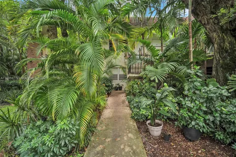 a view of a pathway with plants and large trees