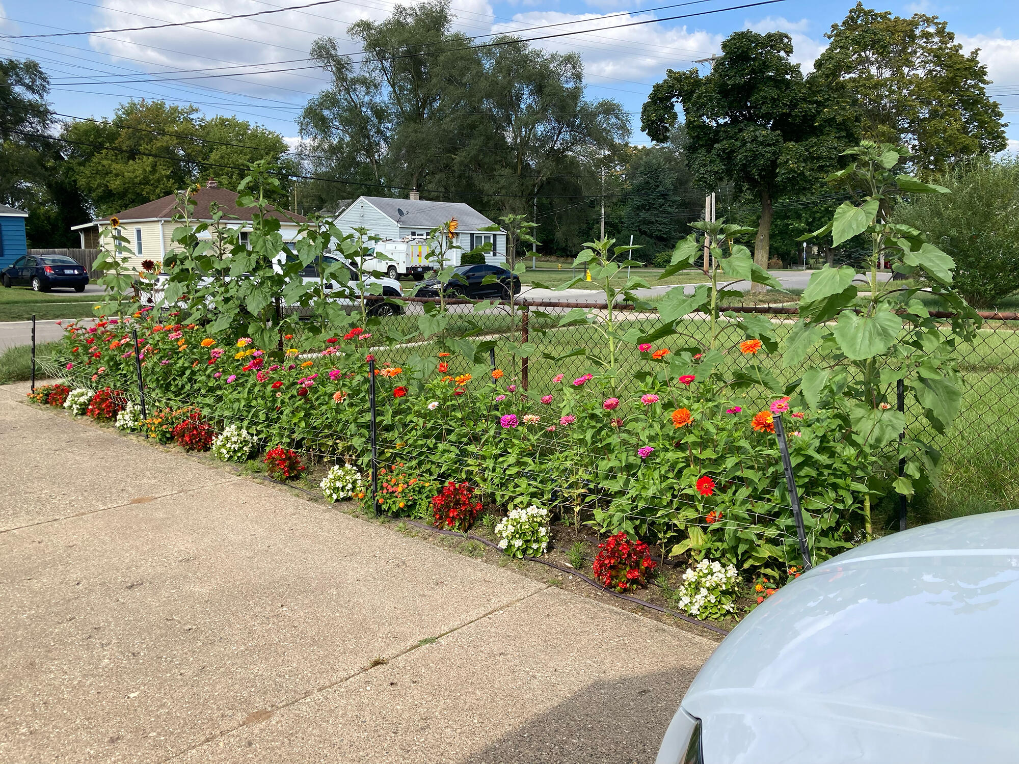 822 Aldon Street Southwest Wyoming, MI 49509 - Photo 58 of 62 Flowers