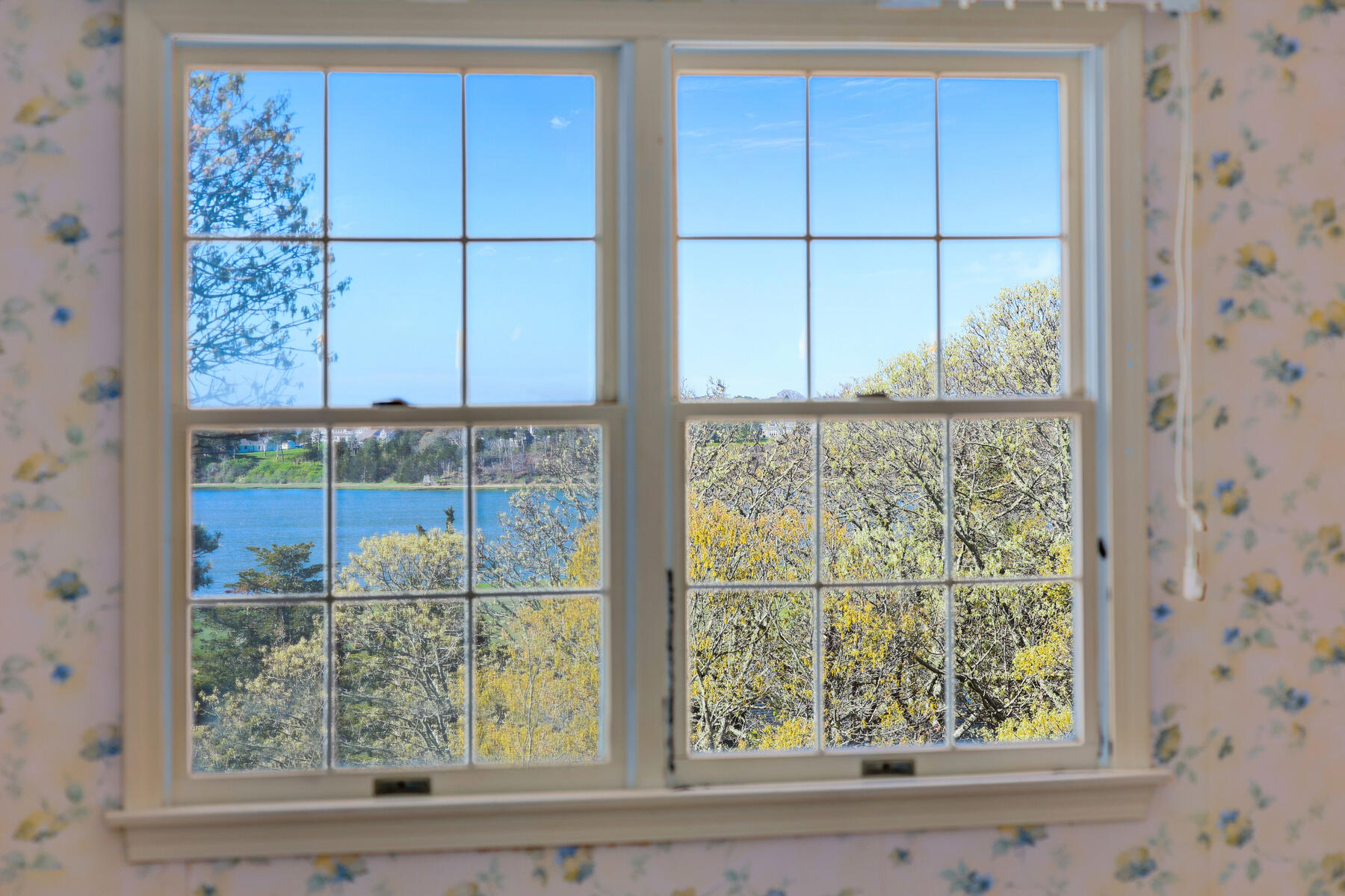 39 Sparrowhawk Road Orleans, MA 02653 - Photo 26 of 40 a view of a window and a wooden door