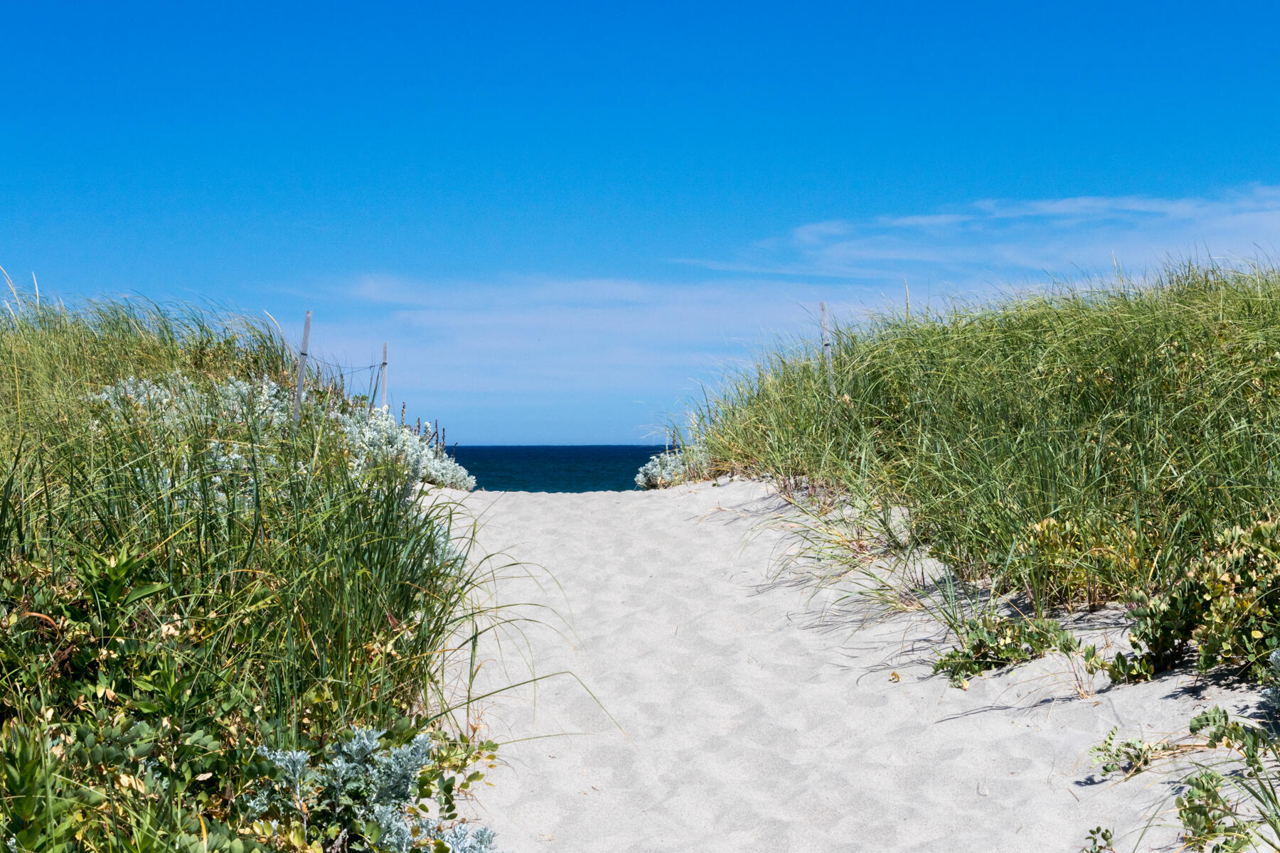 39 Sparrowhawk Road Orleans, MA 02653 - Photo 38 of 40 a view of a large yard with lots of green space