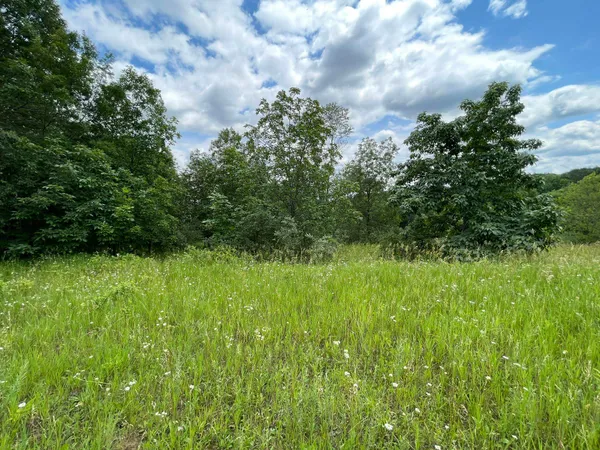 $6,400 | Lot 312 Cross Trail, La Valle, WI 53941