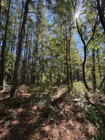 $39,900 | 0 Poplar Creek Drive, Elloree, SC 29047