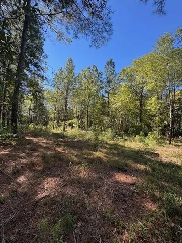 $39,900 | 0 Poplar Creek Drive, Elloree, SC 29047