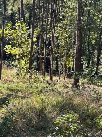 $29,000 | 0 Poplar Creek Drive, Elloree, SC 29047