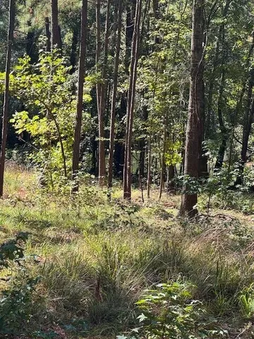 $39,900 | 0 Poplar Creek Drive, Elloree, SC 29047