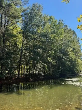 $29,000 | 0 Poplar Creek Drive, Elloree, SC 29047