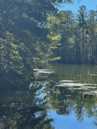 $29,000 | 0 Poplar Creek Drive, Elloree, SC 29047