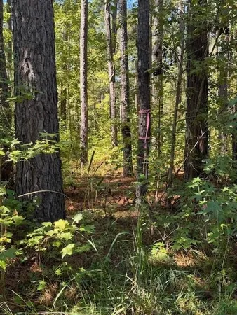 $29,000 | 0 Poplar Creek Drive, Elloree, SC 29047