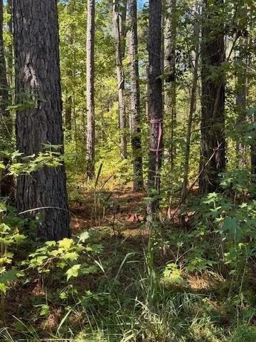 $39,900 | 0 Poplar Creek Drive, Elloree, SC 29047