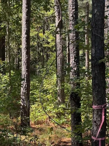 $39,900 | 0 Poplar Creek Drive, Elloree, SC 29047