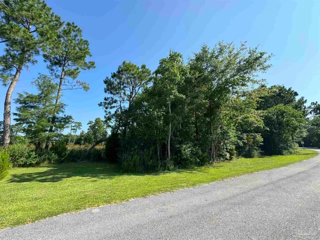 a view of a yard with a tree