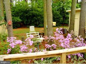 29606 Maple Road, Unit 13723 Lewes, DE 19958 - Photo 5 of 5 Gallery Image 5