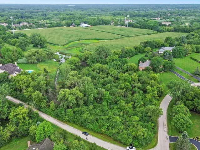 an aerial view of green landscape with trees