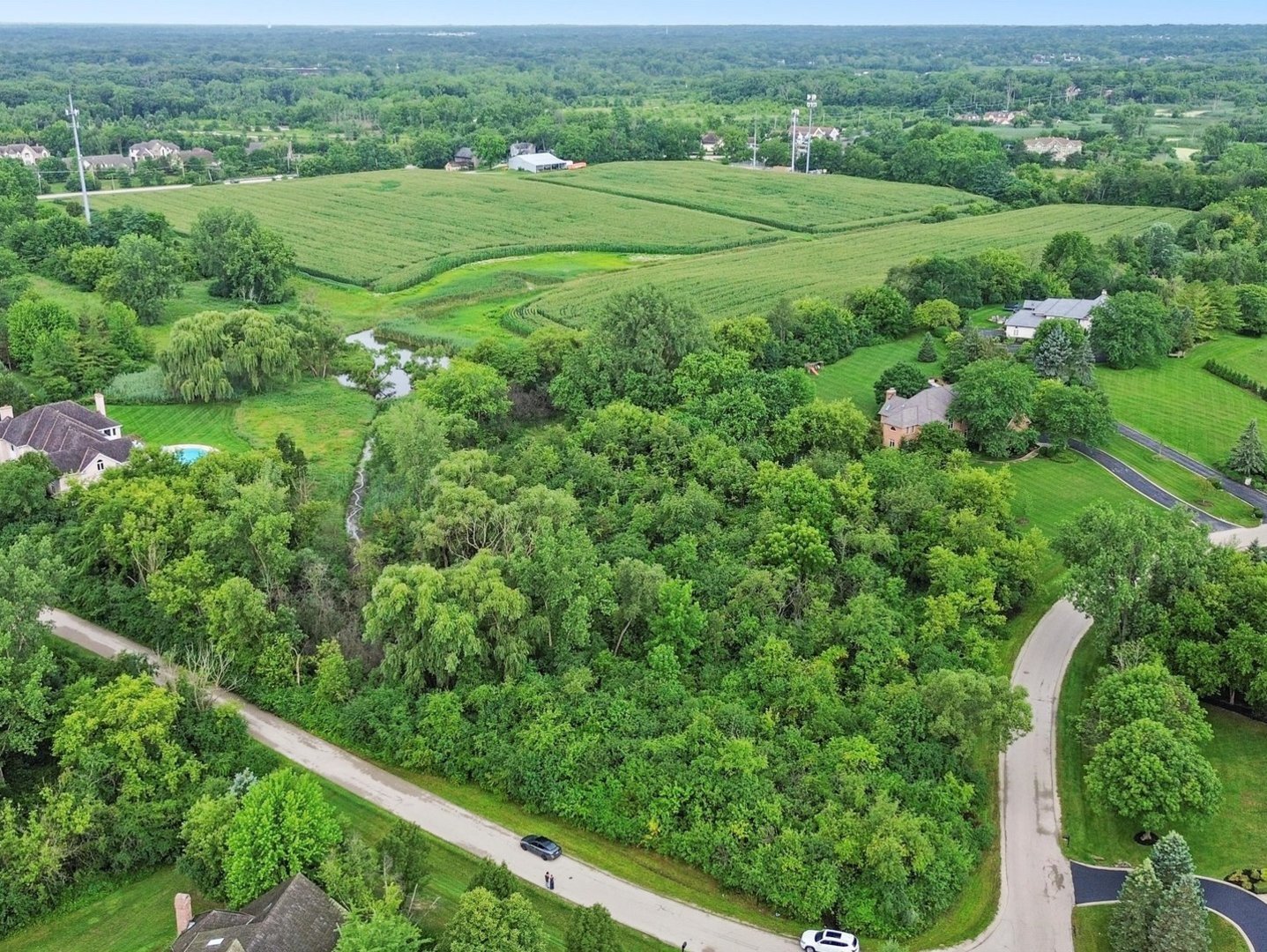 an aerial view of green landscape with trees