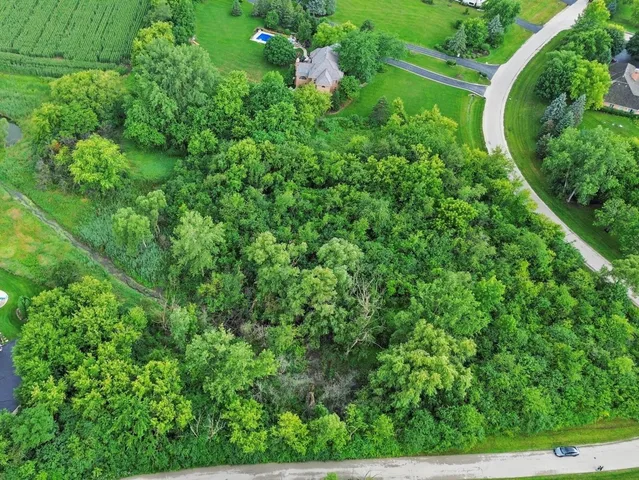 a view of a garden with plants