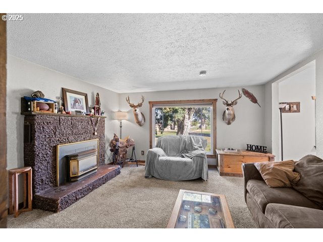 33968 East Loop Road Stanfield, OR 97875 - Photo 6 of 48 a living room with furniture and a fireplace