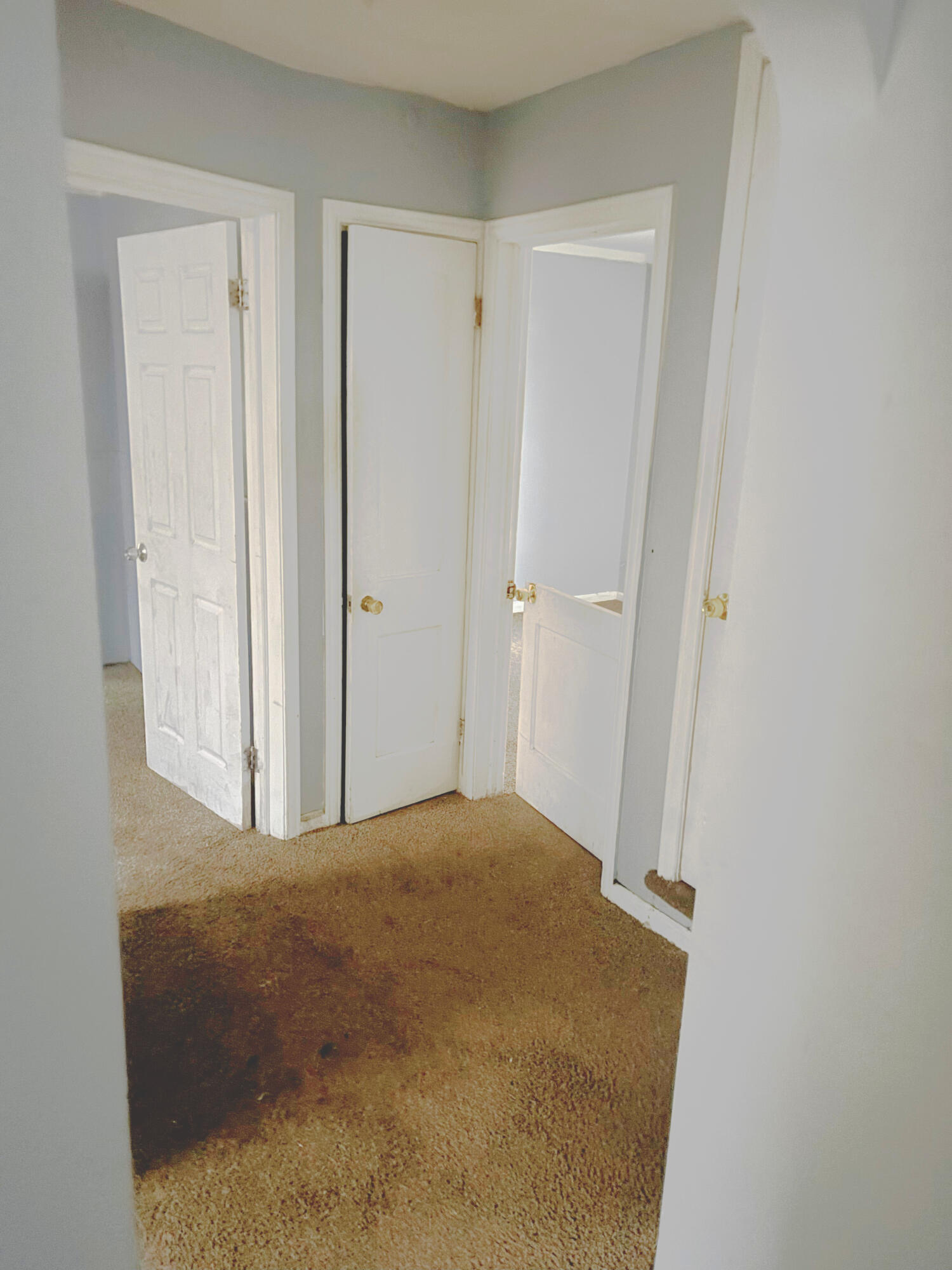 15819 Manning Street Detroit, MI 48205 - Photo 7 of 15 3ef4dc02-e7d5-4a2f-aba7-315122fc5d5f