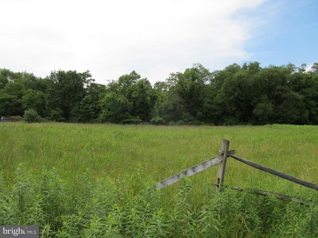 3 Middle Creek Road Fairfield, PA 17320 - Photo 5 of 10 a view of a garden with a plants