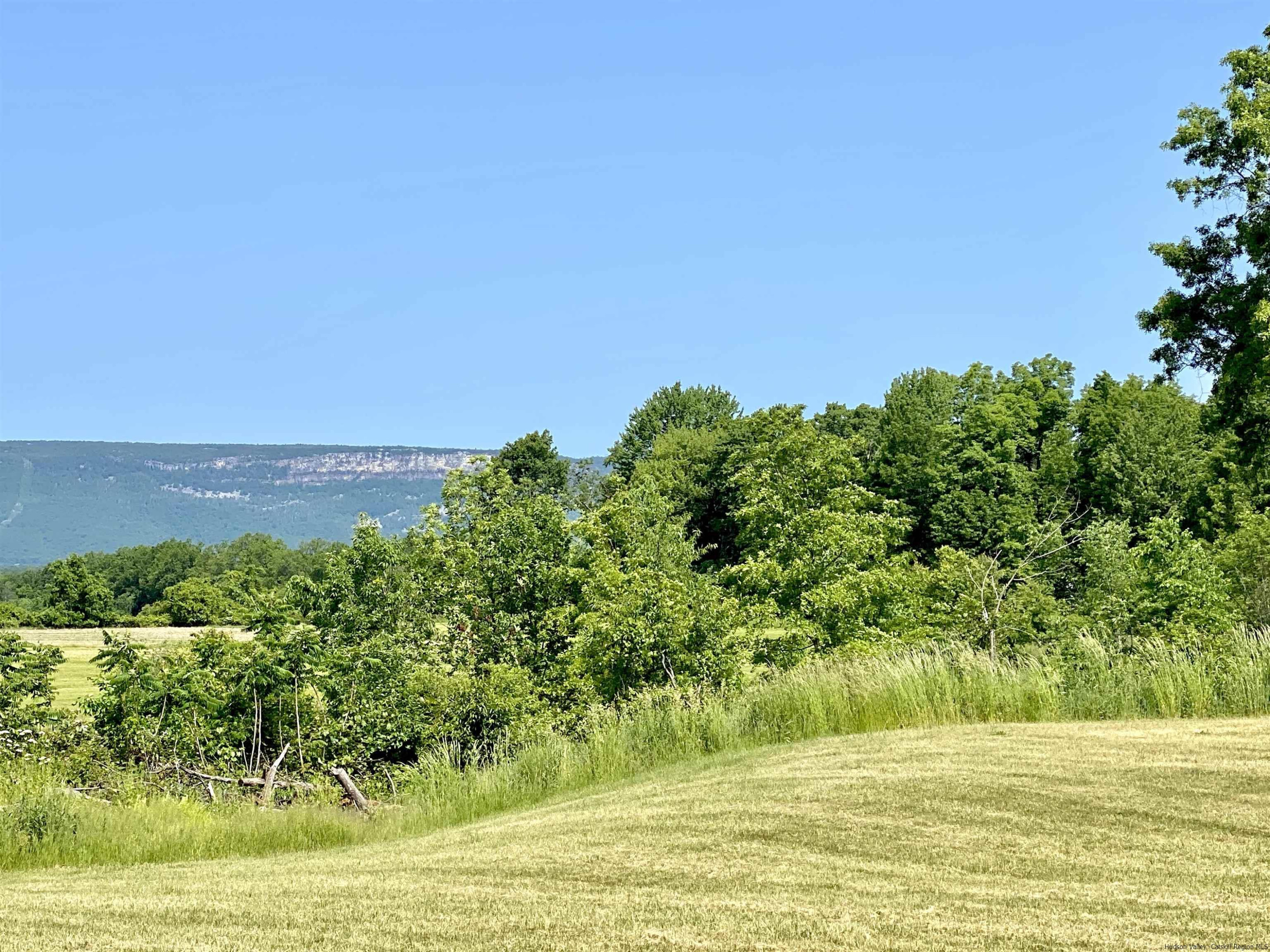 29 Millbrook Road Gardiner, NY 12589 - Photo 28 of 34 a view of a green yard with an outdoor space
