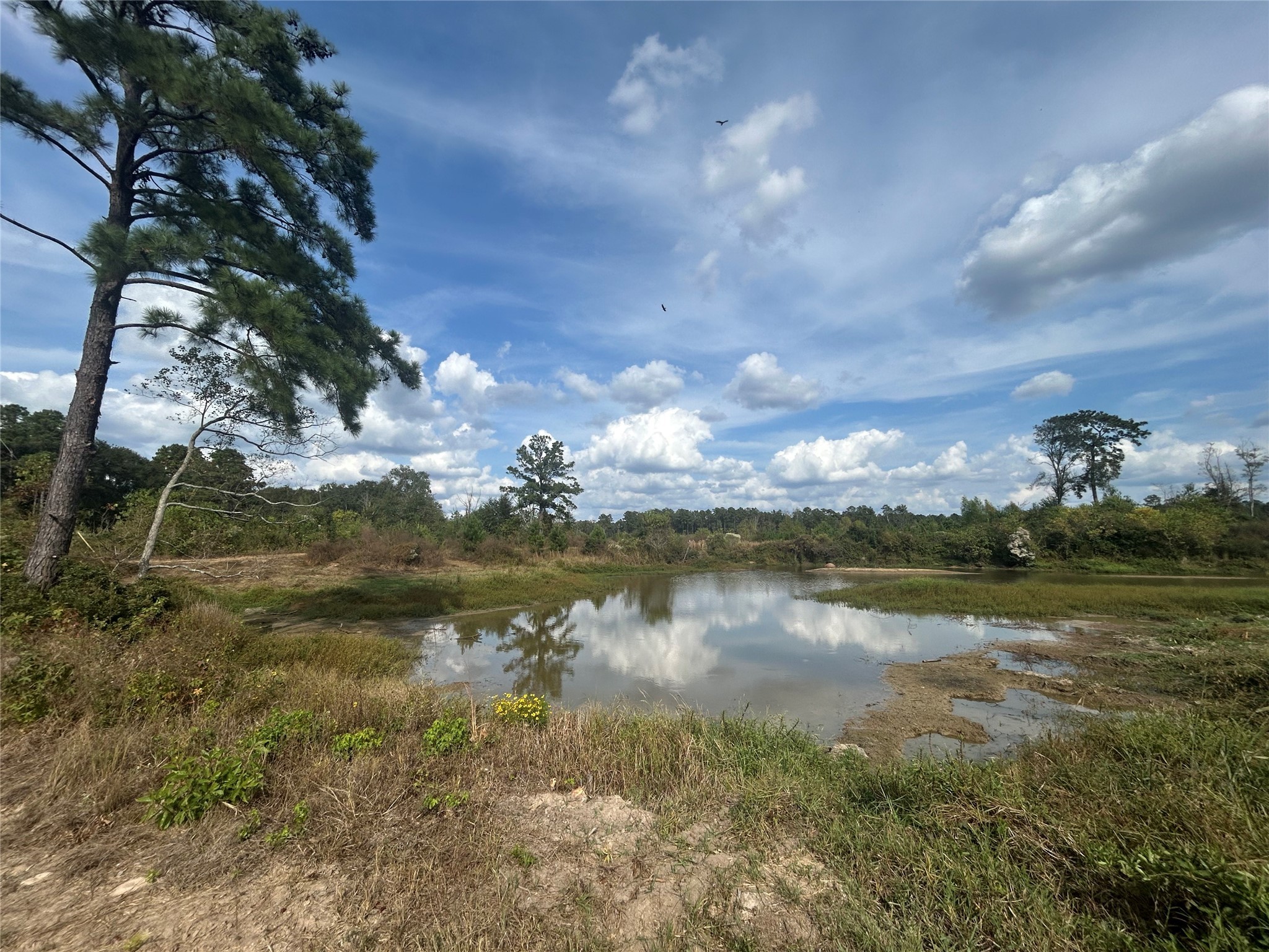 18074 Hill Road Cleveland, TX 77328 - Photo 11 of 19 a view of a lake in between two chairs