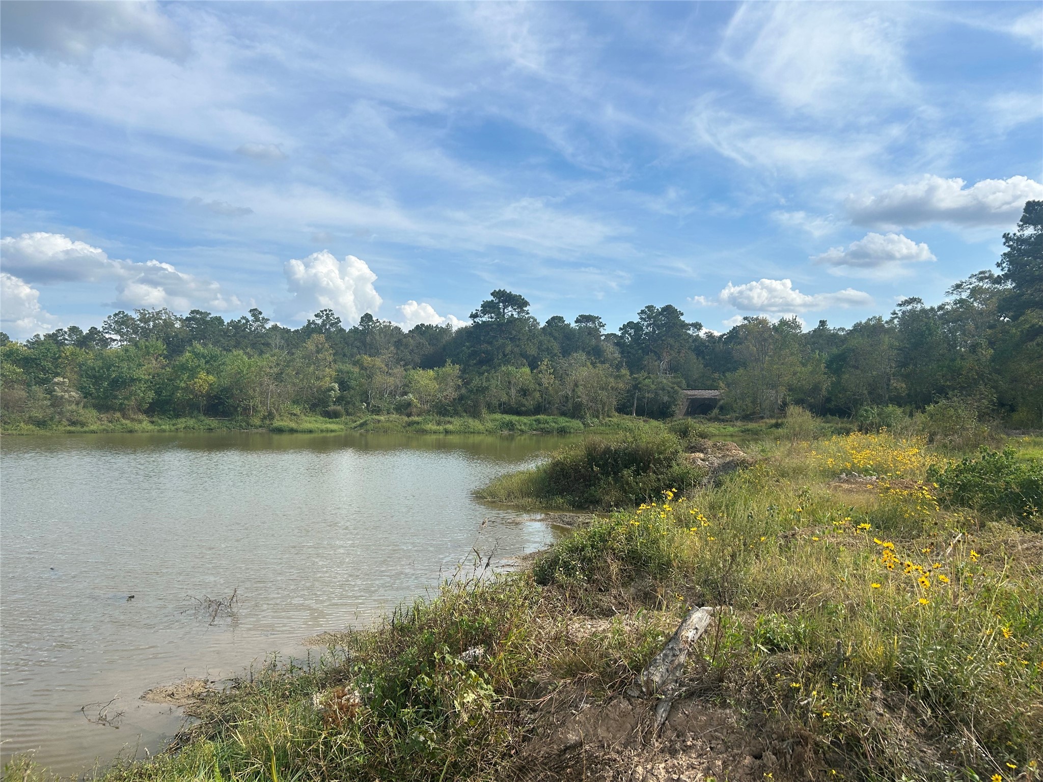 18074 Hill Road Cleveland, TX 77328 - Photo 13 of 19 a view of a lake with a yard