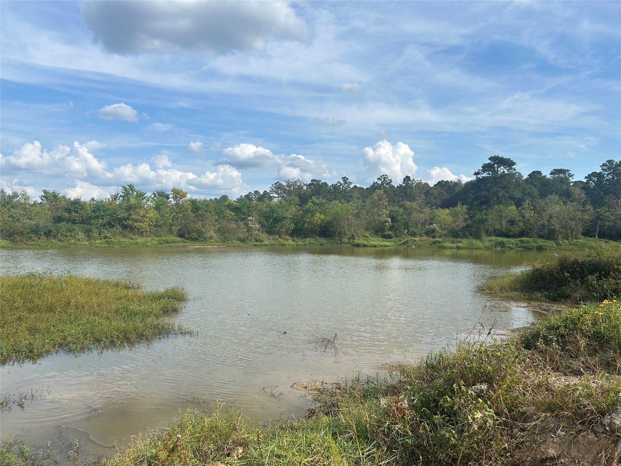18074 Hill Road Cleveland, TX 77328 - Photo 14 of 19 a view of a lake in middle of forest