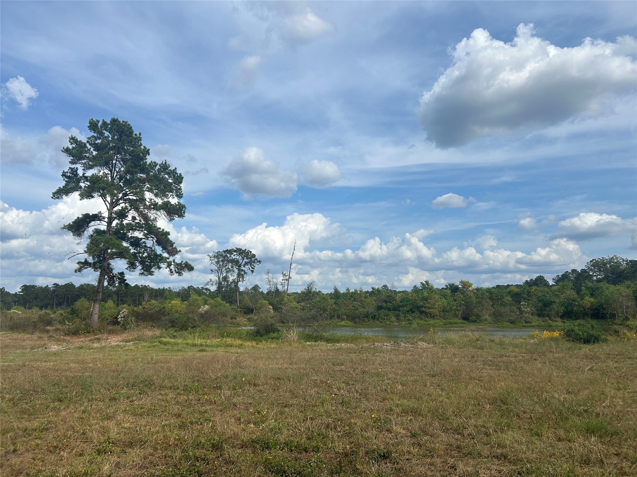 18074 Hill Road Cleveland, TX 77328 - Photo 16 of 19 a view of a lake