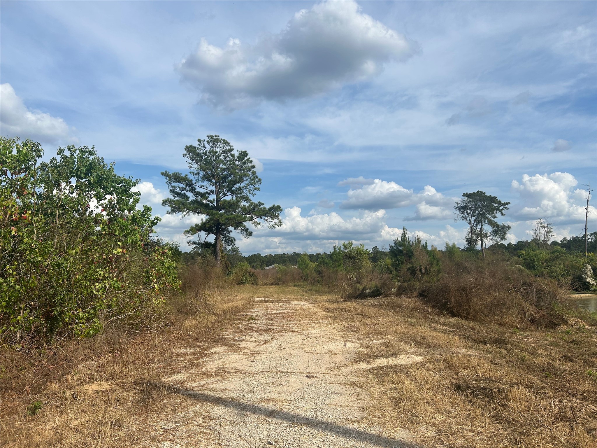 18074 Hill Road Cleveland, TX 77328 - Photo 19 of 19