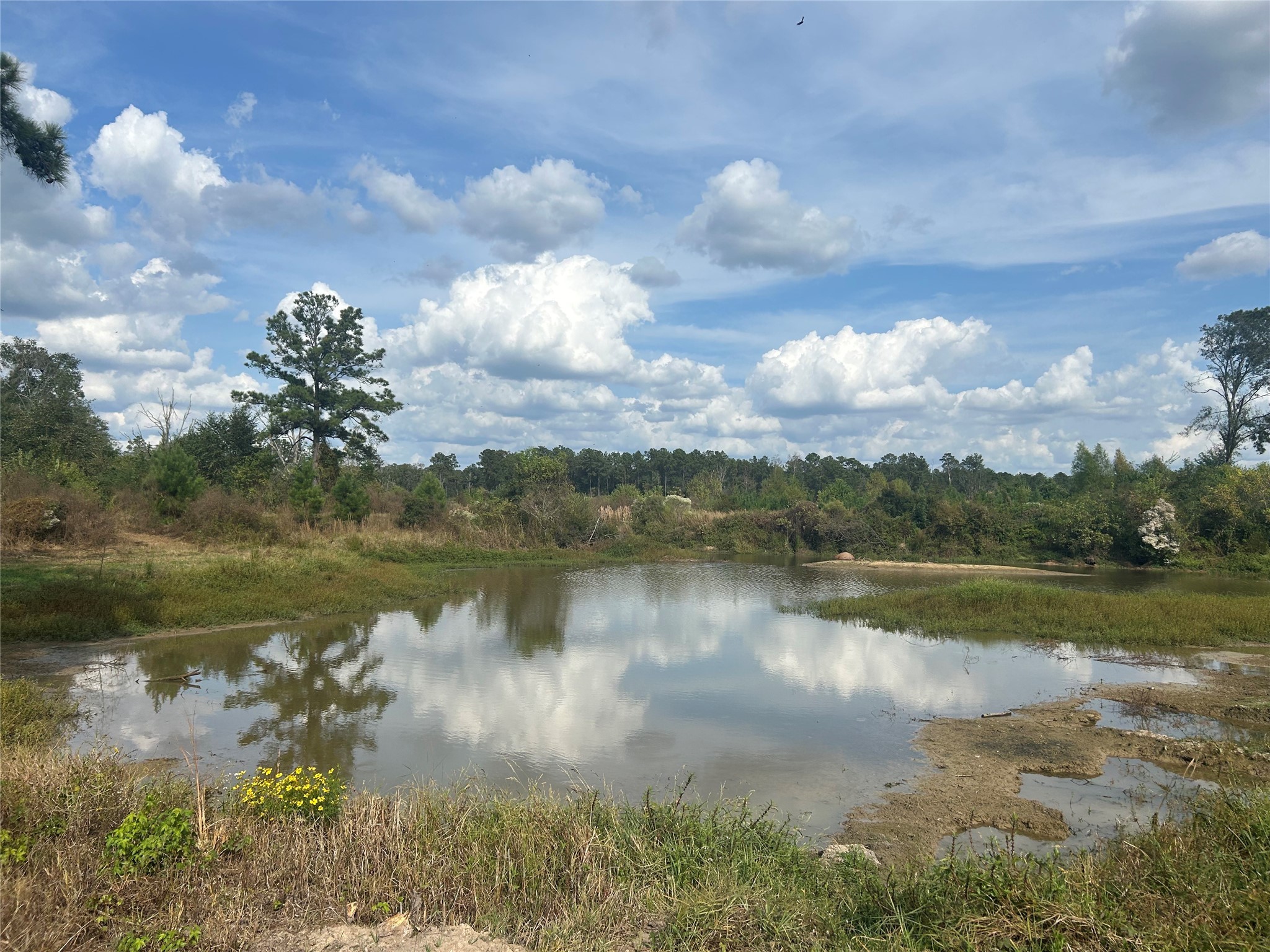 18074 Hill Road Cleveland, TX 77328 - Photo 2 of 19 a view of a lake