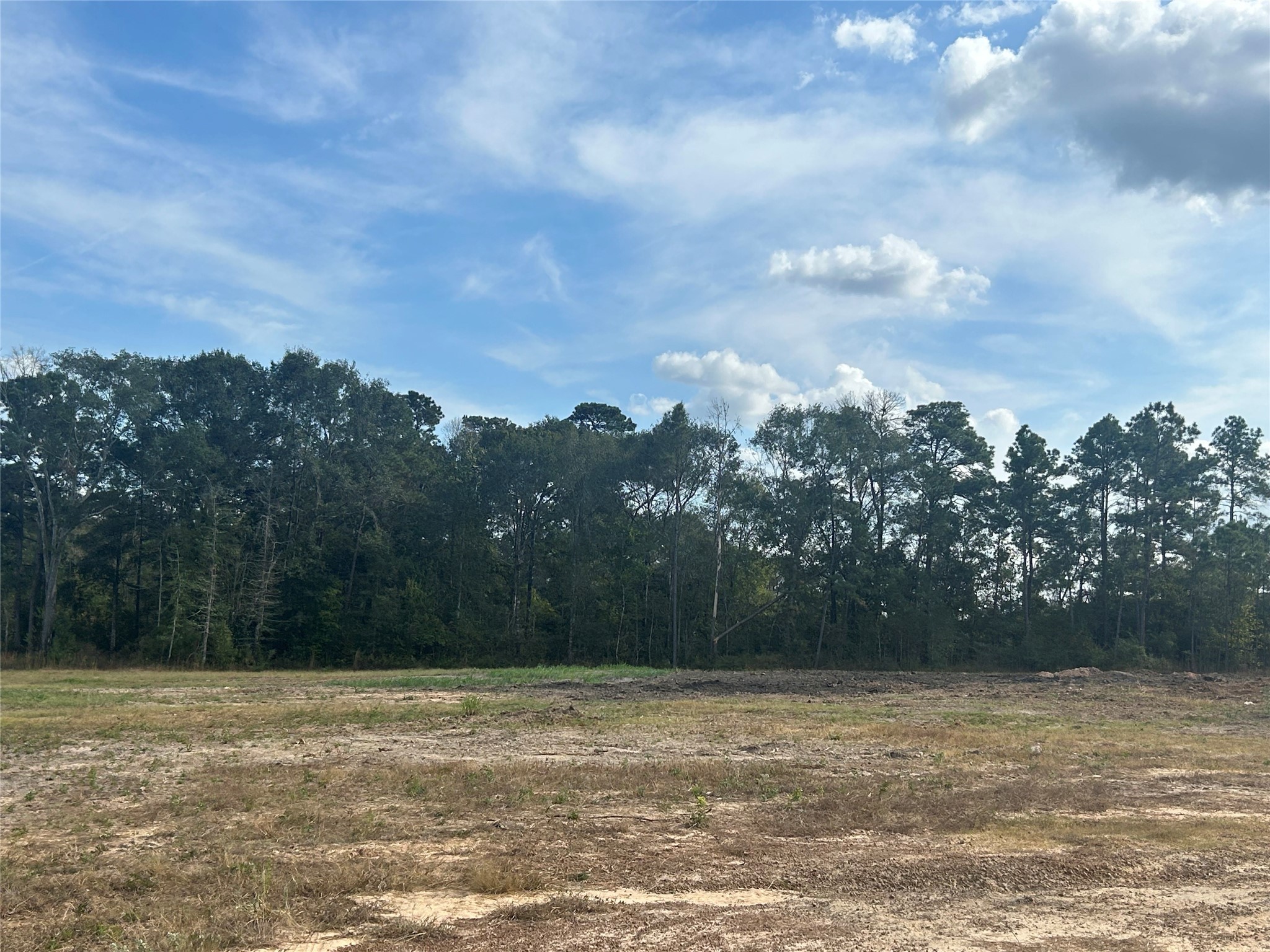 18074 Hill Road Cleveland, TX 77328 - Photo 3 of 19 a view of a yard