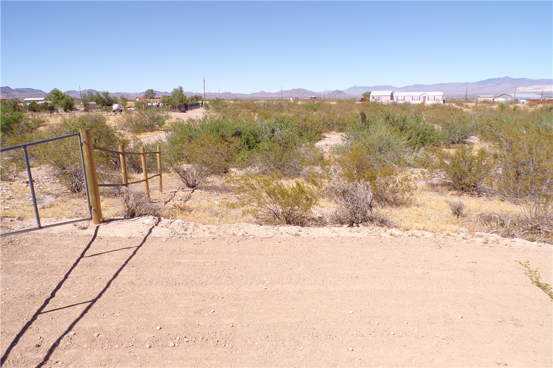 Expansive desert landscape with natural vegetation and distant mountain views