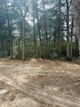 $350,000 | 1053 Elm Crest Drive, New Ulm, TX 78950