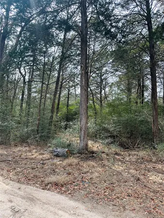 $350,000 | 1053 Elm Crest Drive, New Ulm, TX 78950