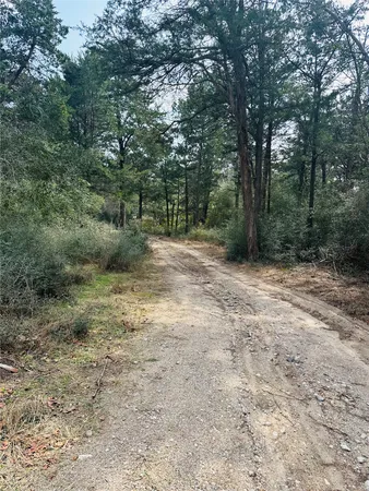 $350,000 | 1053 Elm Crest Drive, New Ulm, TX 78950