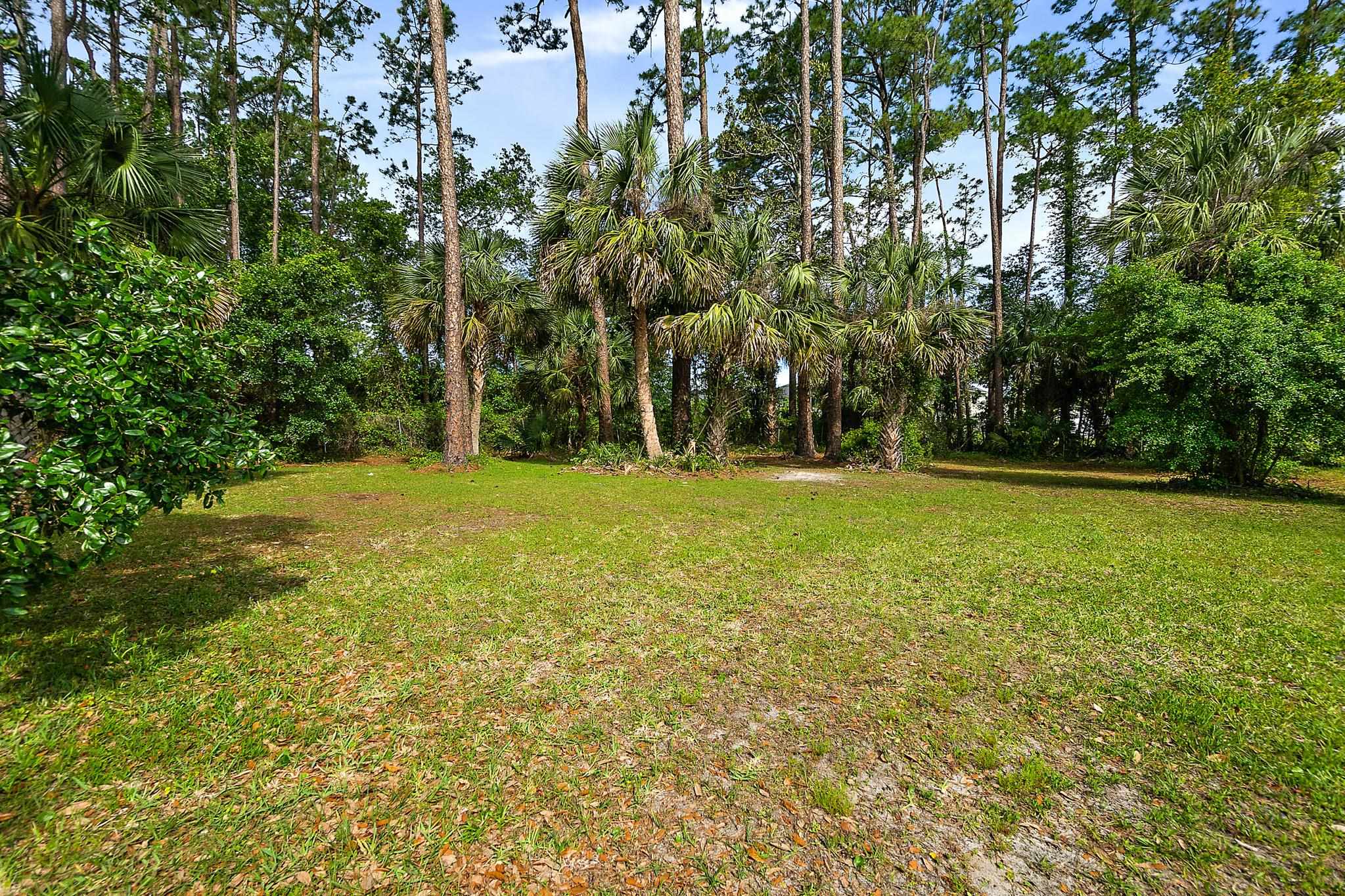 2505 Old Moultrie Road St. Augustine, FL 32086 - Photo 10 of 14