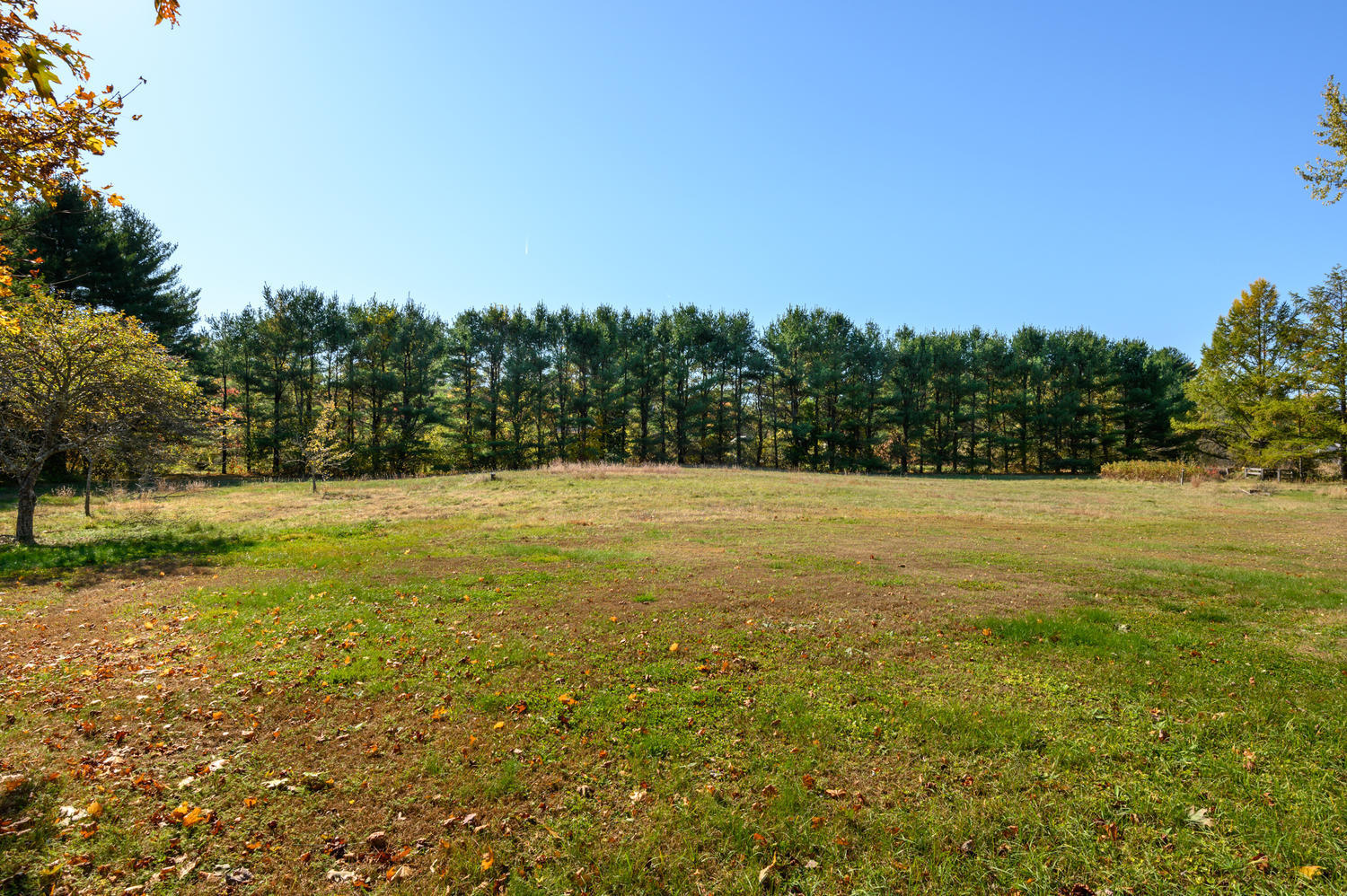 64 County Road Scarborough, ME 04074 - Photo 30 of 39 Back yard