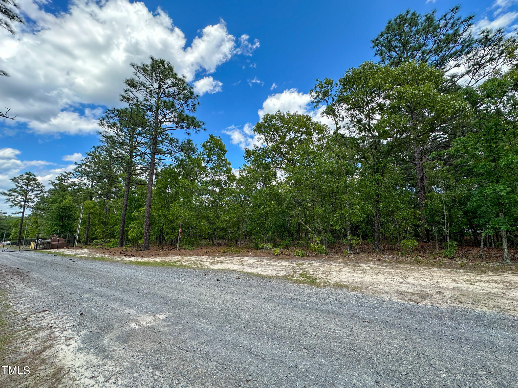 0 Juniper Lake Road West End, NC 27376 - Photo 4 of 22 Pic 4