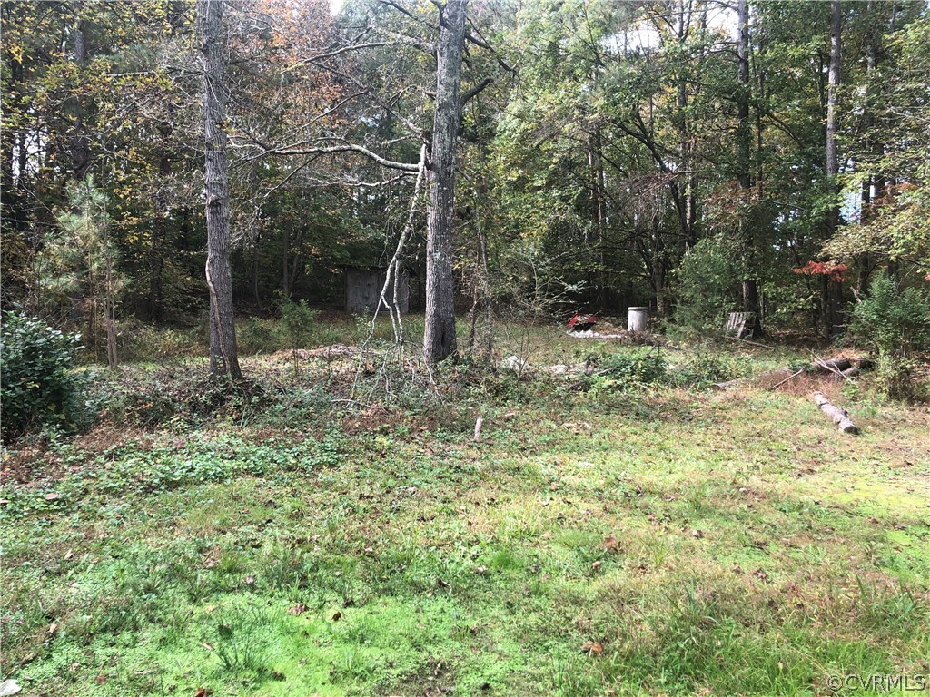 1813 Little Deer Road Alberta, VA 23821 - Photo 27 of 27 a backyard of a house with lots of green space
