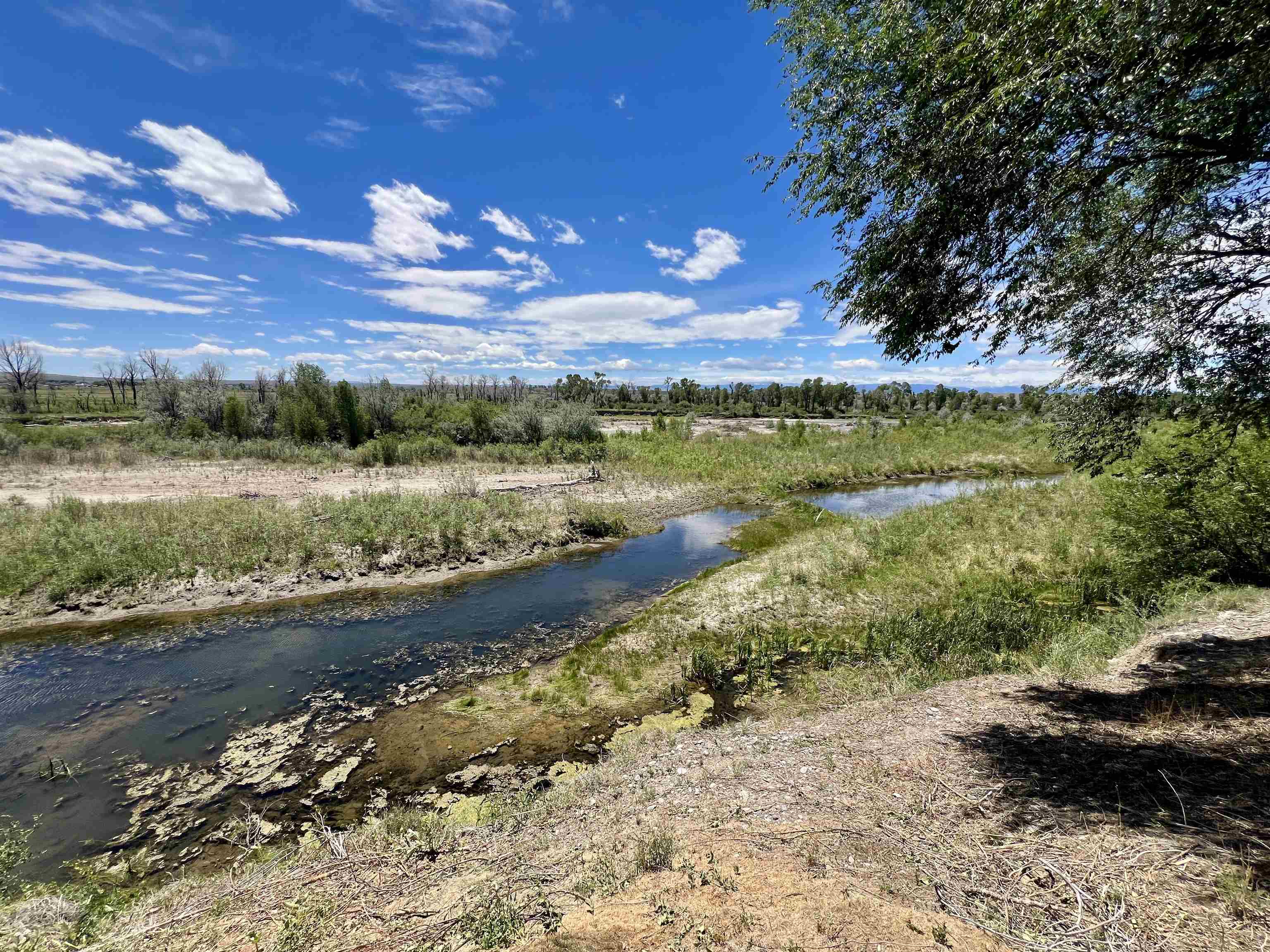3215 Riverside Drive Riverton, WY 82501 - Photo 7 of 50